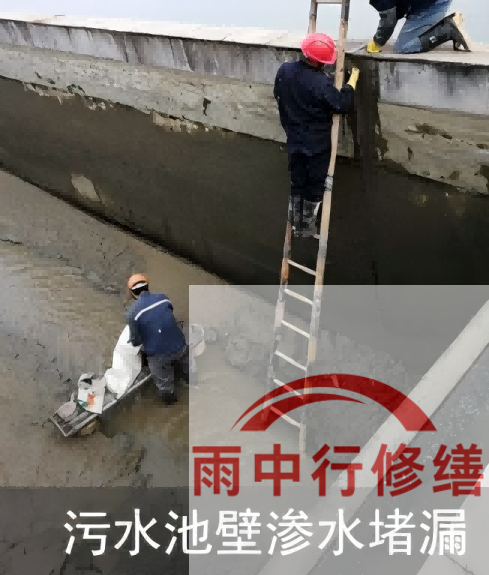 张家口2026年防水龙头半月两次涨价，行业格局重塑信号