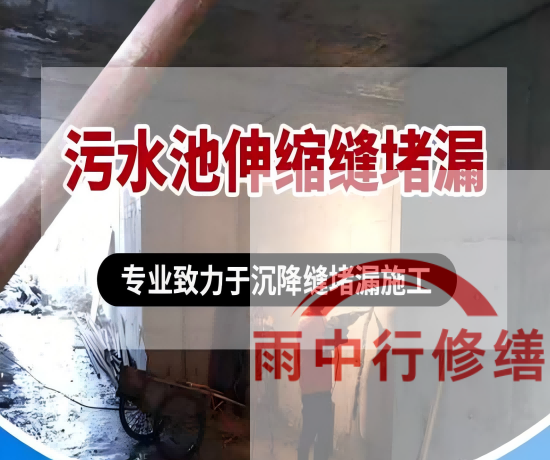 张家口某污水处理厂钢筋混凝土池堵漏案例